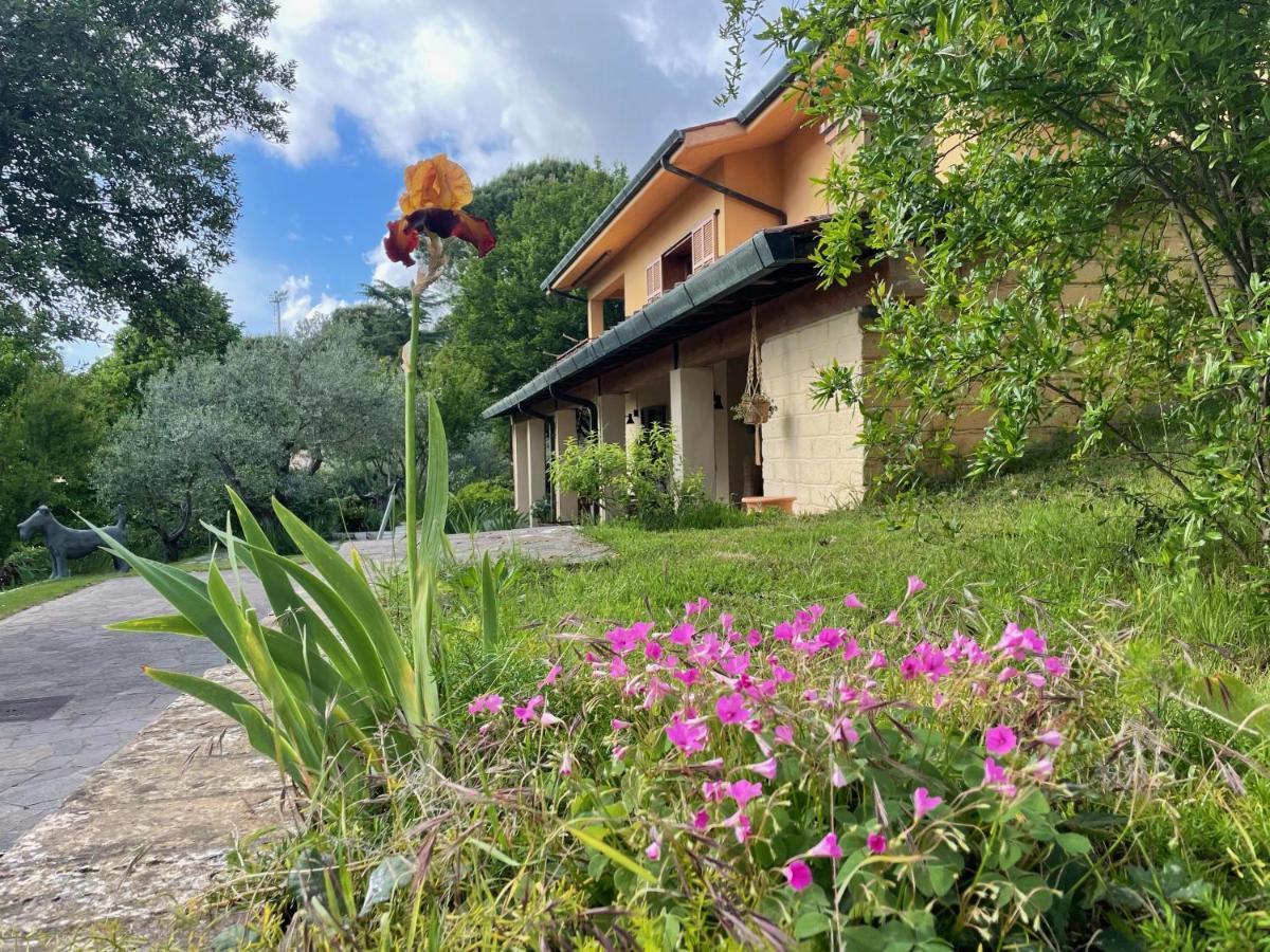 Botanea Guest House Fonte Nuova Exterior foto